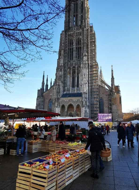 Ulmer Wochenmarkt-乌尔姆必去景点