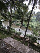 Sterling Anaikatti主图