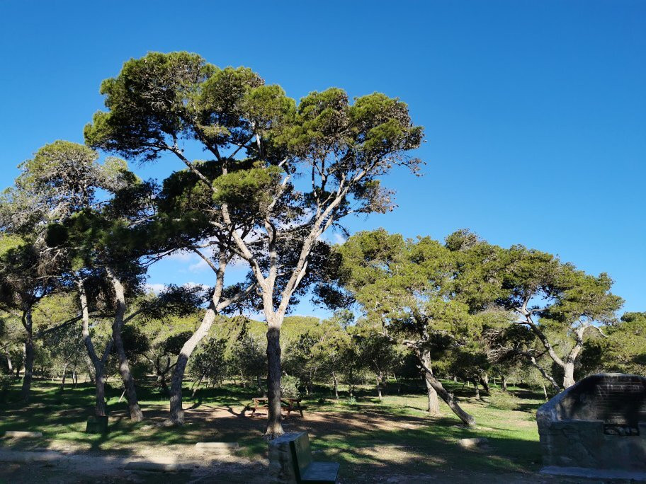 Pinares de Rostrogordo-梅利利亚必去景点