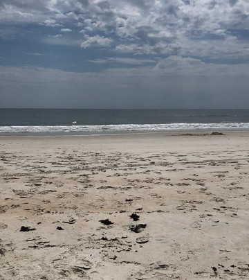 River to Sea Trail Preserve-Marineland必去景点