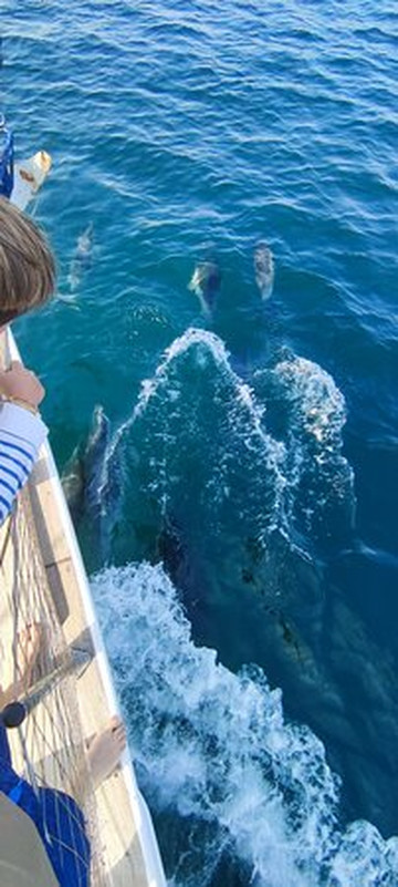 Velero Intrepido-埃斯特波纳必去景点