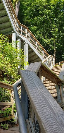 Hickory Nut Falls Trail景点图片