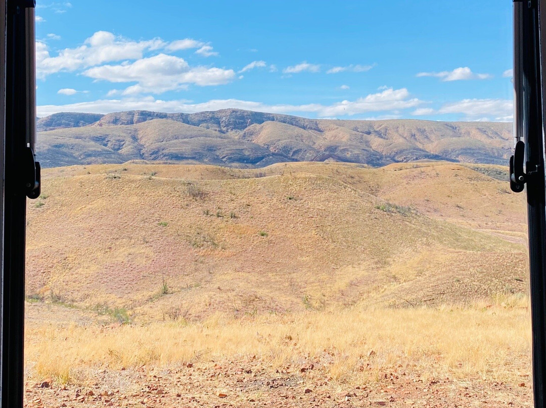 Neil Hargrave Lookout