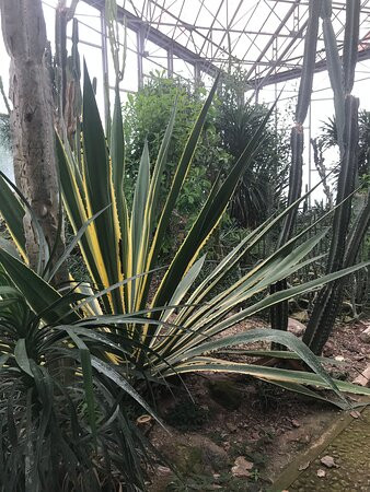 Jardin des Plantes景点图片
