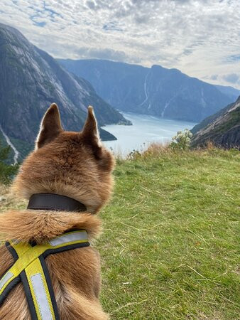 Kjeasen Mountain Farm-Eidfjord Municipality必去景点