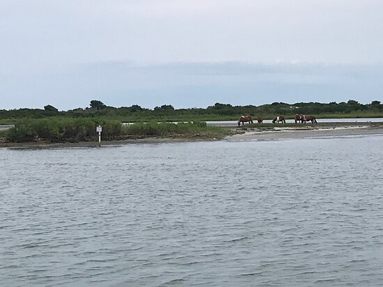 West OC Watersports-大洋城必去景点