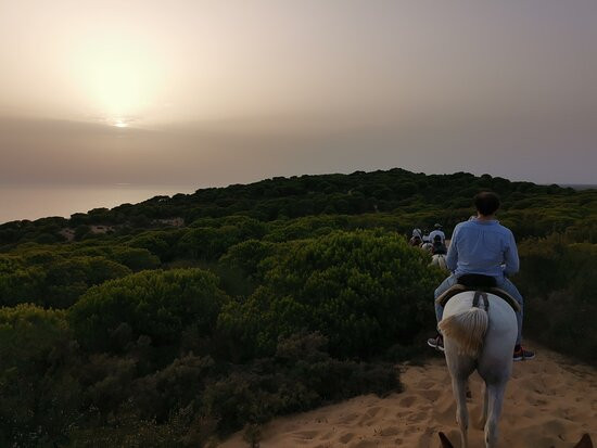 Doñana Hipica El Pasodoble景点图片