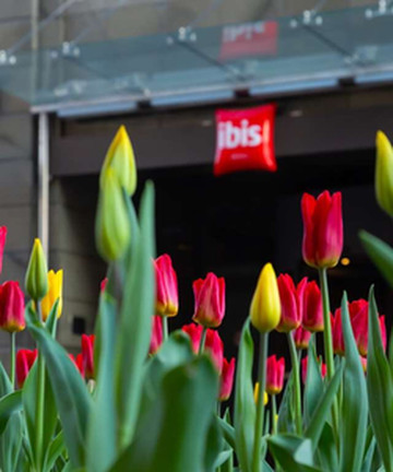 莫斯科中心巴克如斯纳宜必思酒店酒店图片