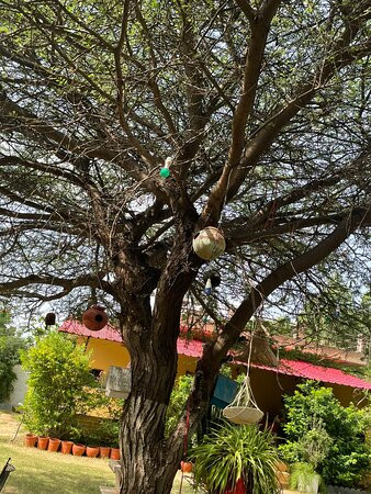 Foothill Pushkar Resort主图