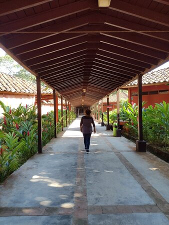 DM Hoteles Tarapoto主图