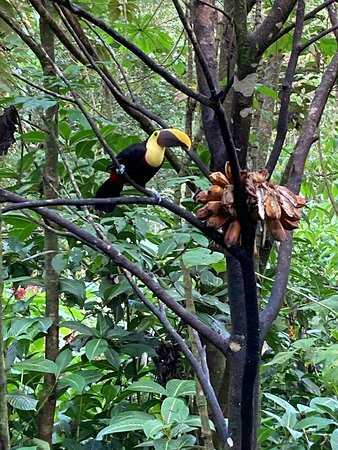 Casitas Tenorio B&B主图