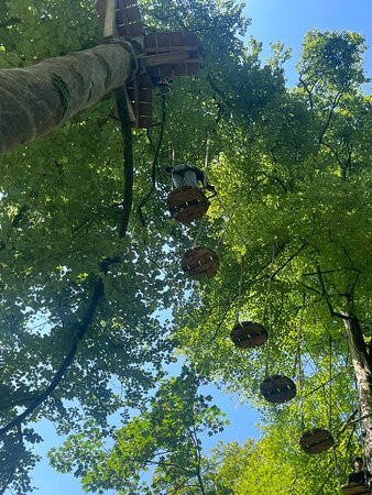 Ecopark Adventures Penzé-Taule必去景点