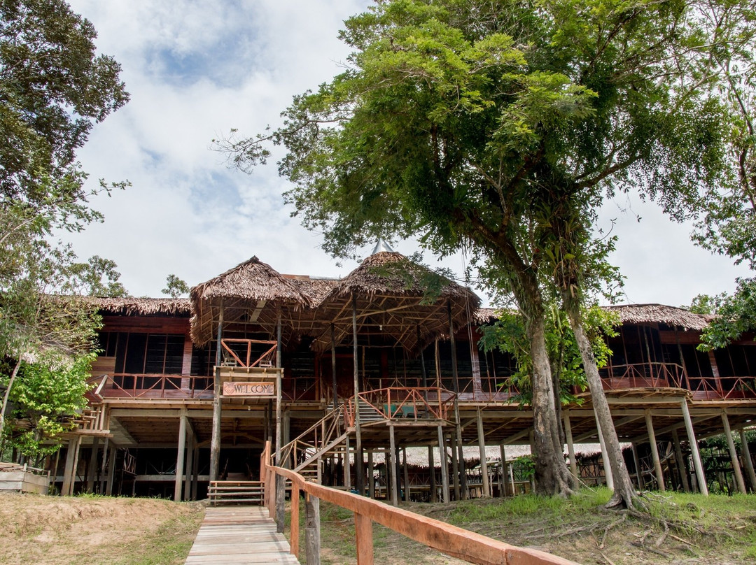 Amazonia Expeditions' Tahuayo Lodge