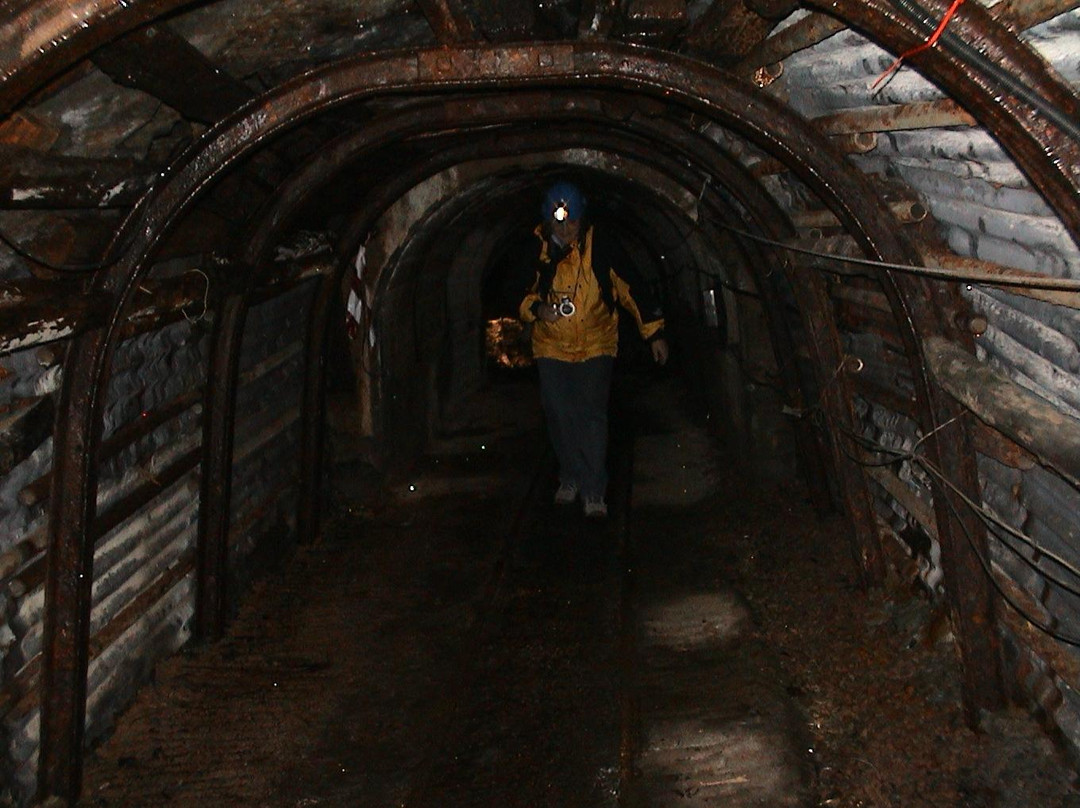 Hopewell Colliery-Coleford必去景点