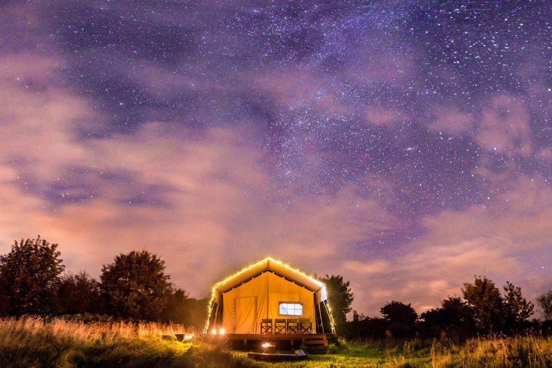 Top of the Woods - Eco-Luxury Camping & Glamping, Pembrokeshire