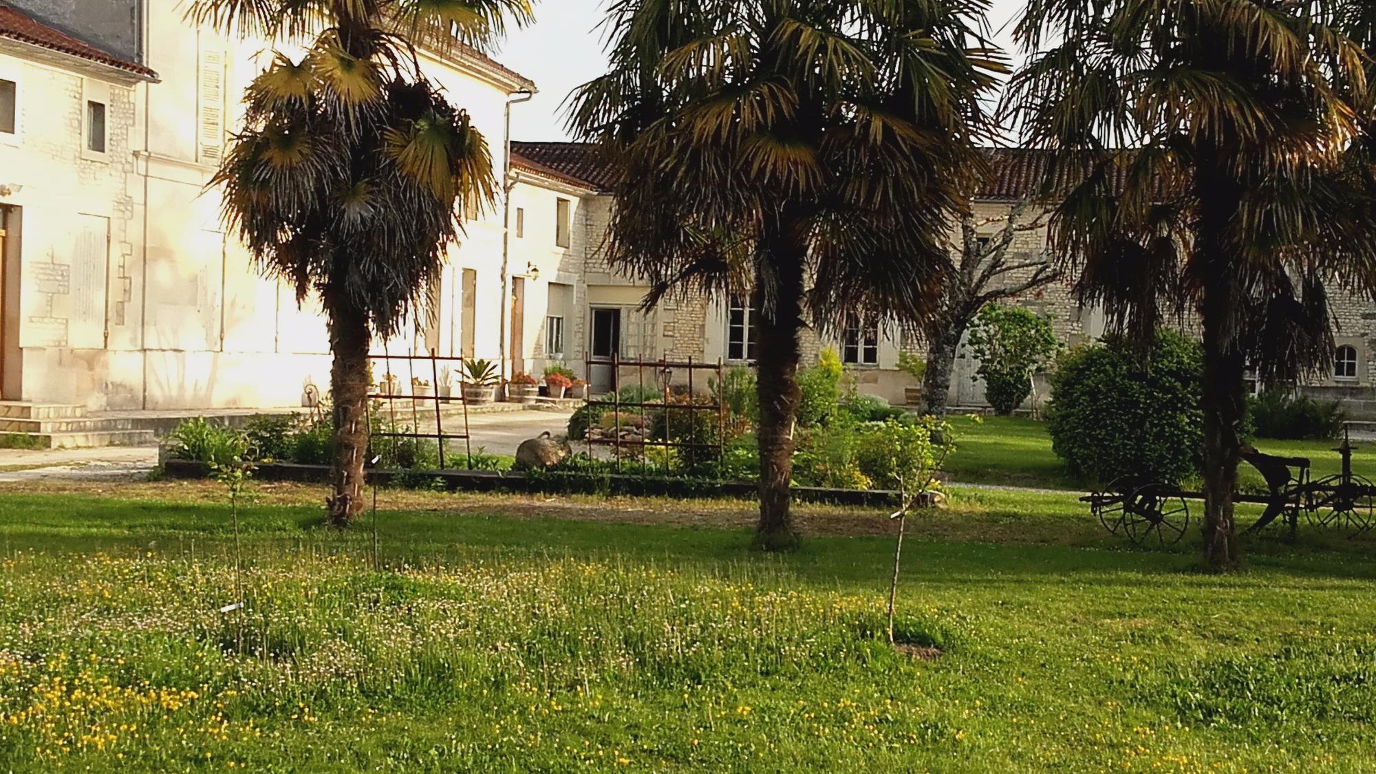 Domaine Des Tonneaux-官方
