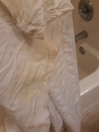 Quality Inn & Suites Wellington - Fort Collins-浴室