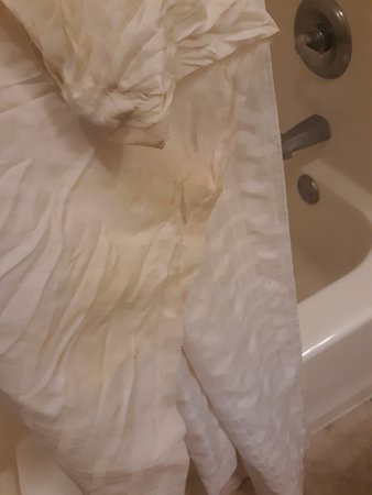 Quality Inn & Suites Wellington - Fort Collins主图