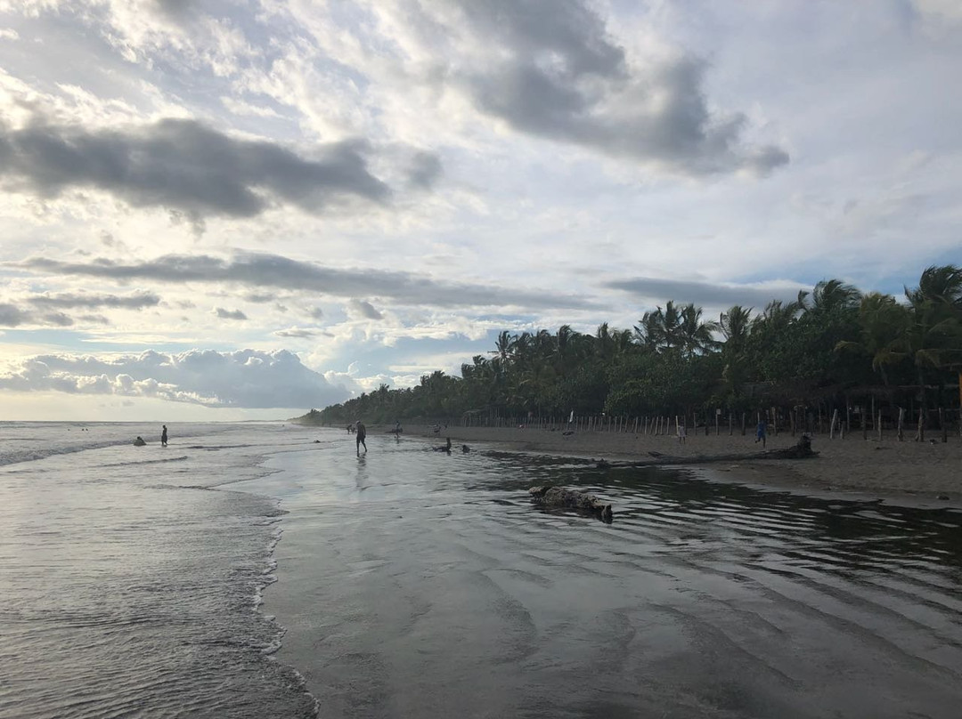 Finca Buena Vista主图