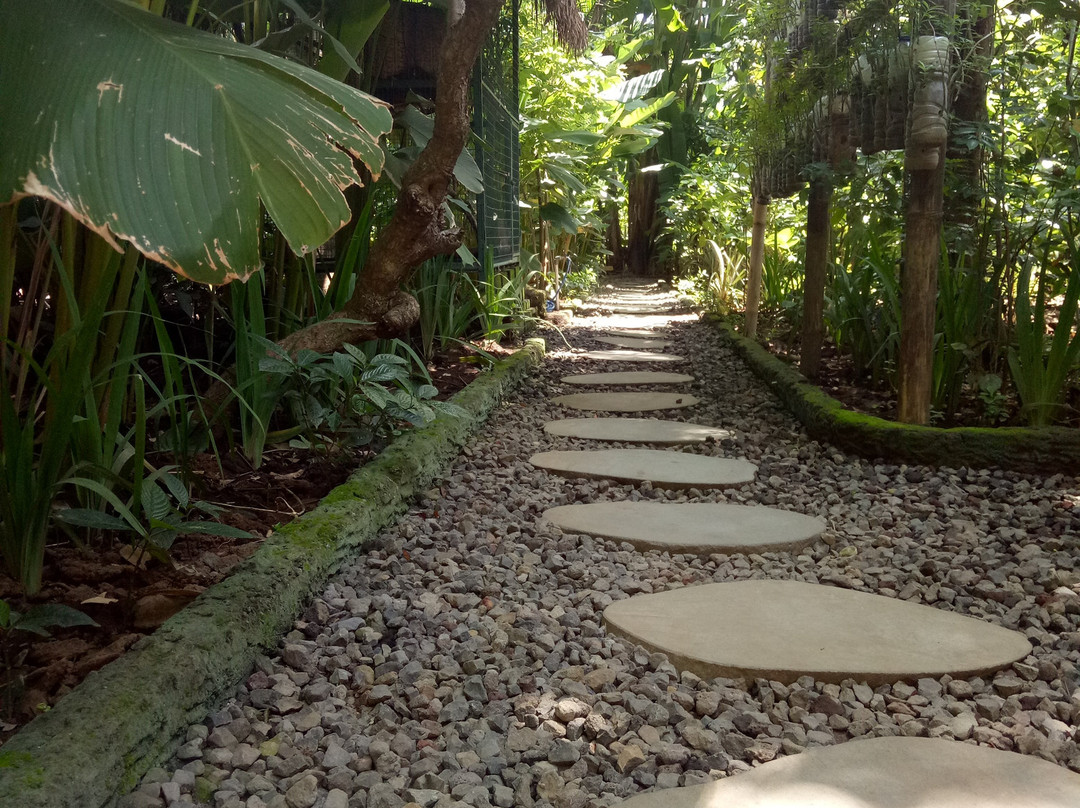 Bali Best Travels-佩艳艮必去景点