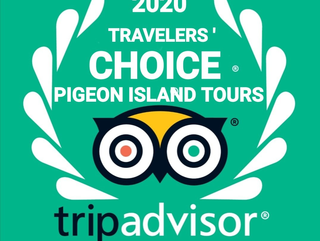 Pigeon Island Tours-尼拉瓦利必去景点