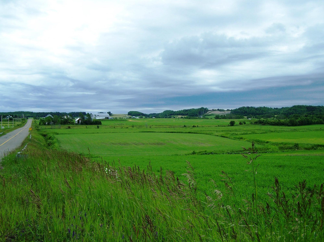 Saint-Jean-de-Dieu旅游攻略图片