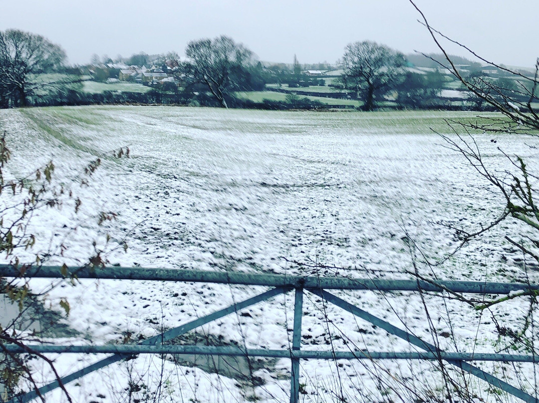 Brinsley旅游攻略图片