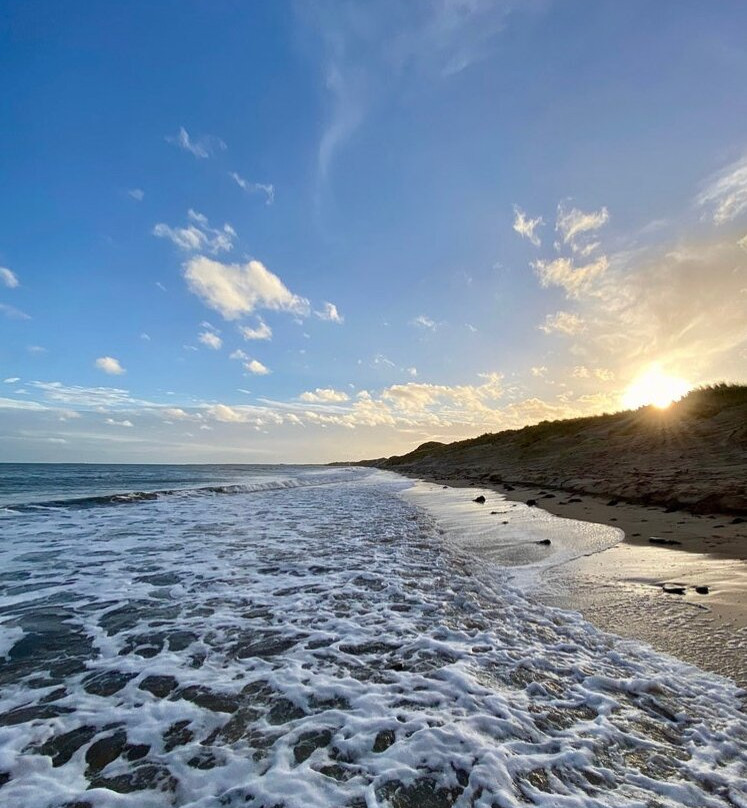 Rose Sands