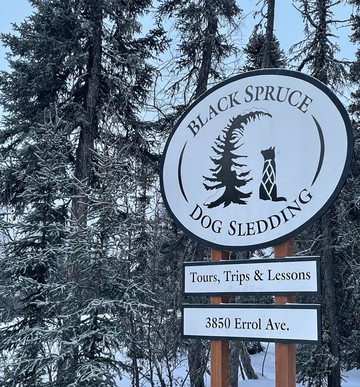 Black Spruce Dog Sledding-费尔班克斯必去景点