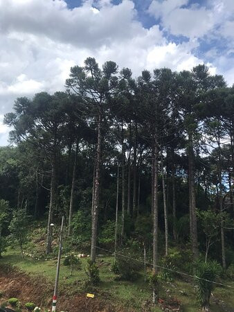 Hotel San Ghermann主图