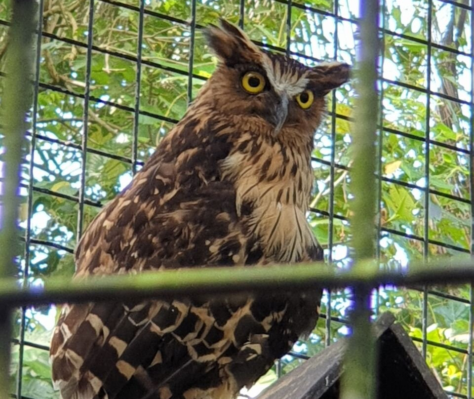 Taman Tumbina-宾图卢必去景点