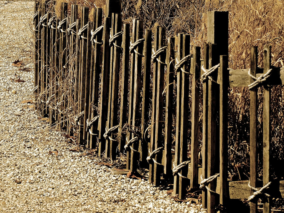 Fabyan Villa Museum & Japanese Garden-Geneva必去景点