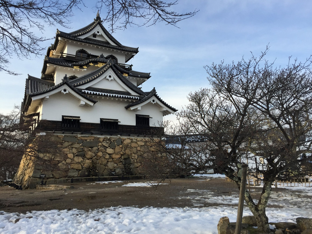 Hikone Castle Museum景点图片