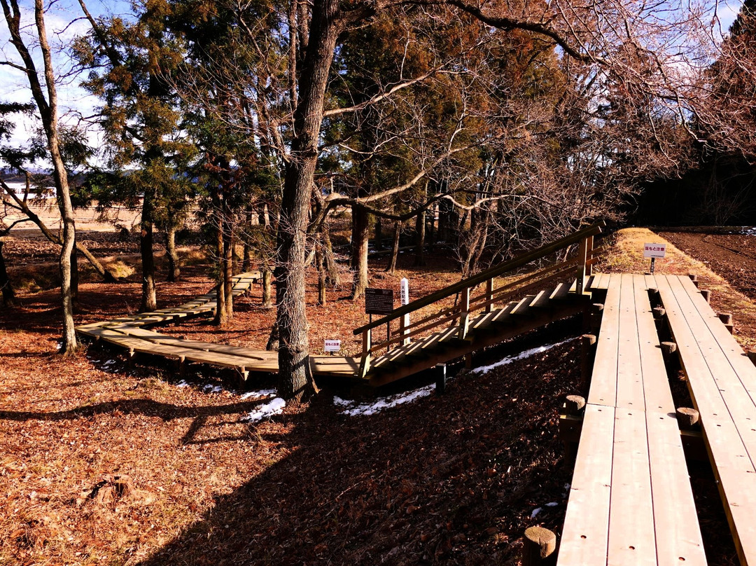 Symplocarpus foetidus of Wetlands in Otawara