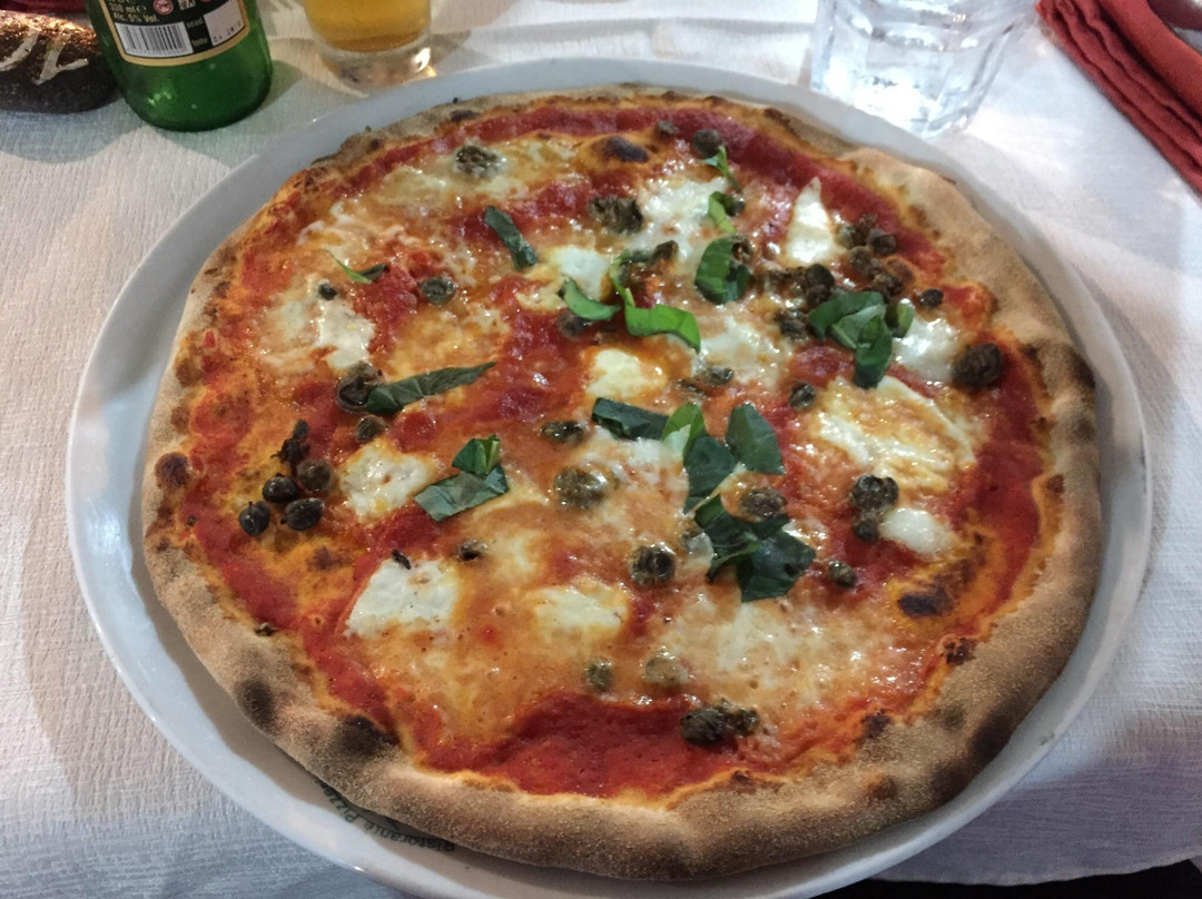 PESCECANE Ristorante Pizzeria