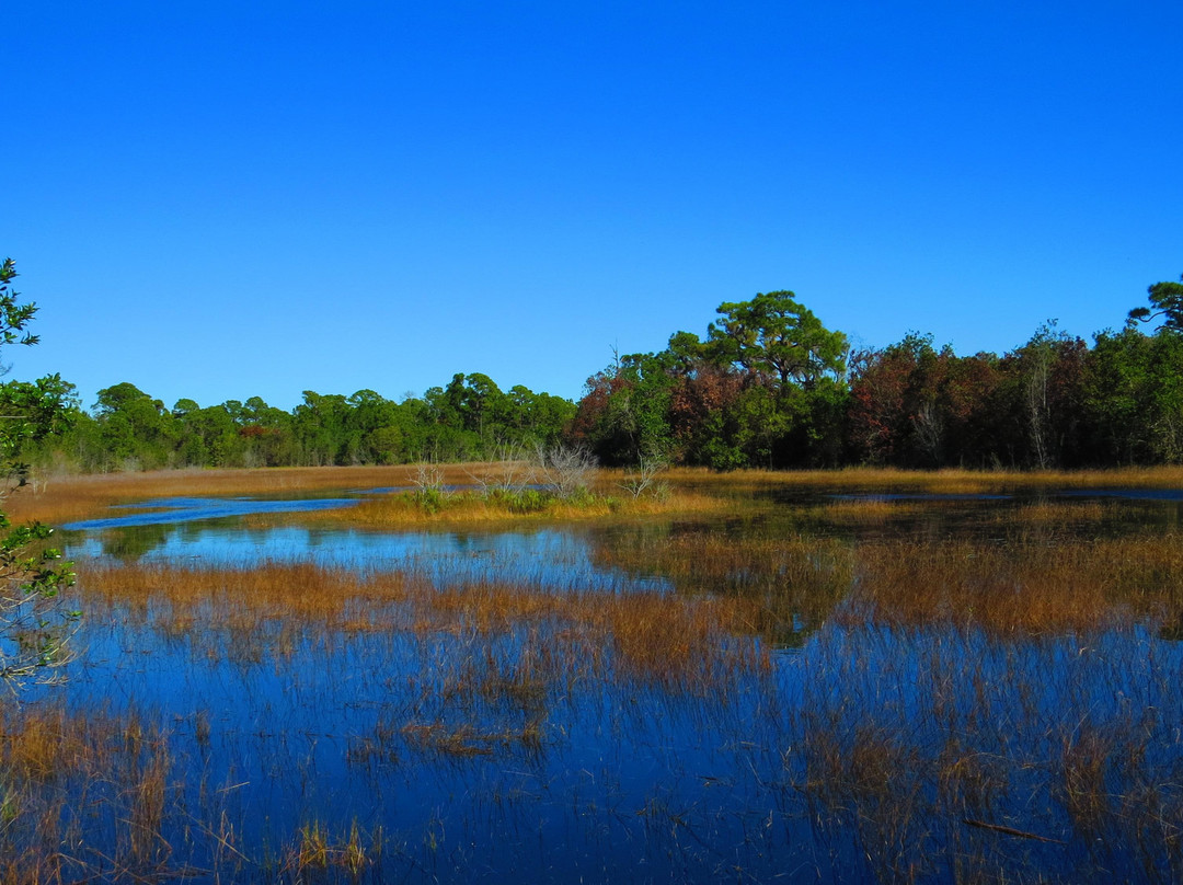 圣露西港旅游攻略图片
