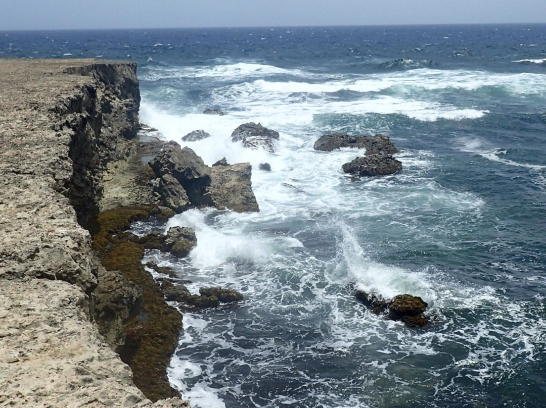 Barber旅游攻略图片