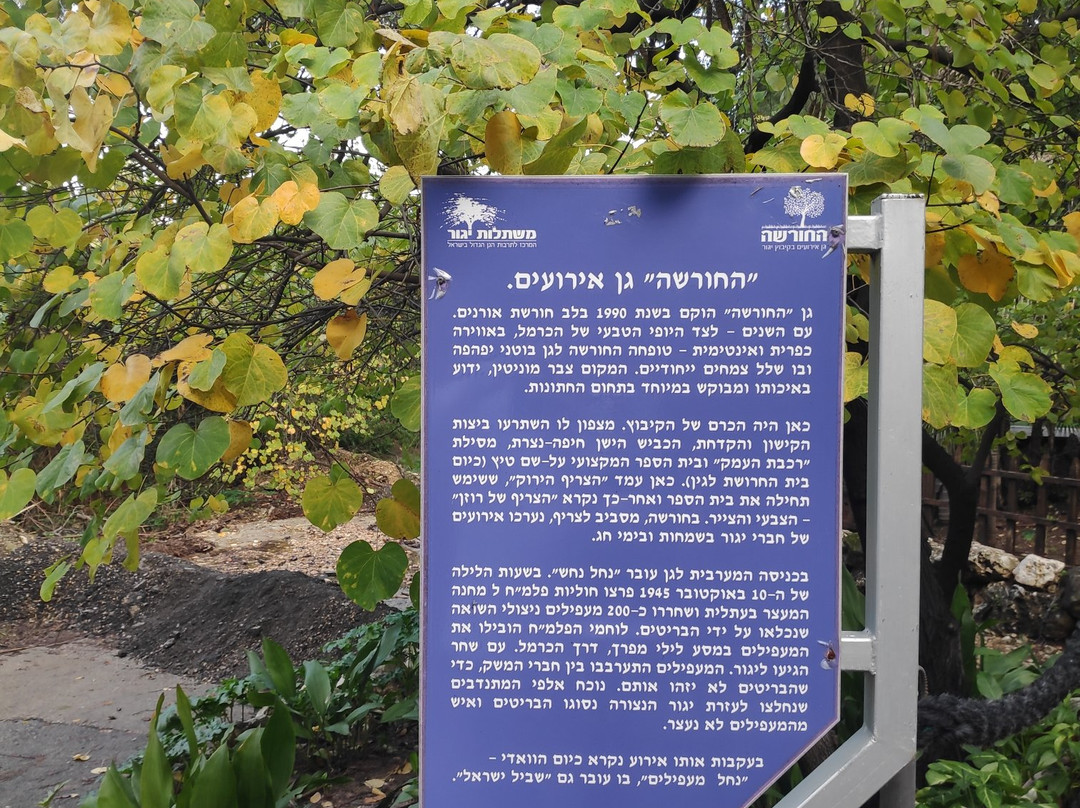 Yagur旅游攻略图片