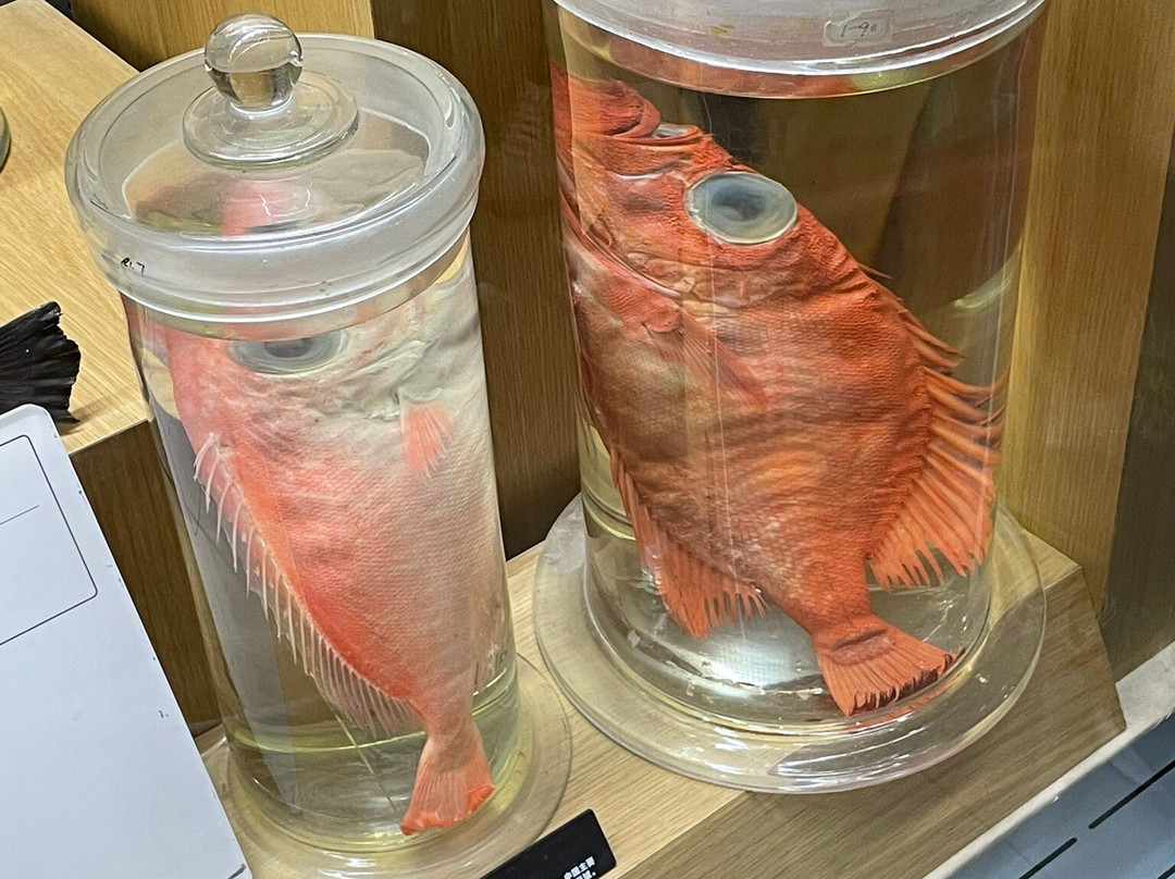 青岛海底世界-青岛市必去景点