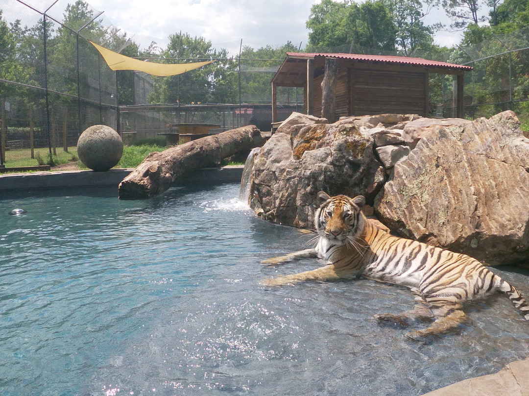 Catty Shack Ranch Wildlife Sanctuary景点图片