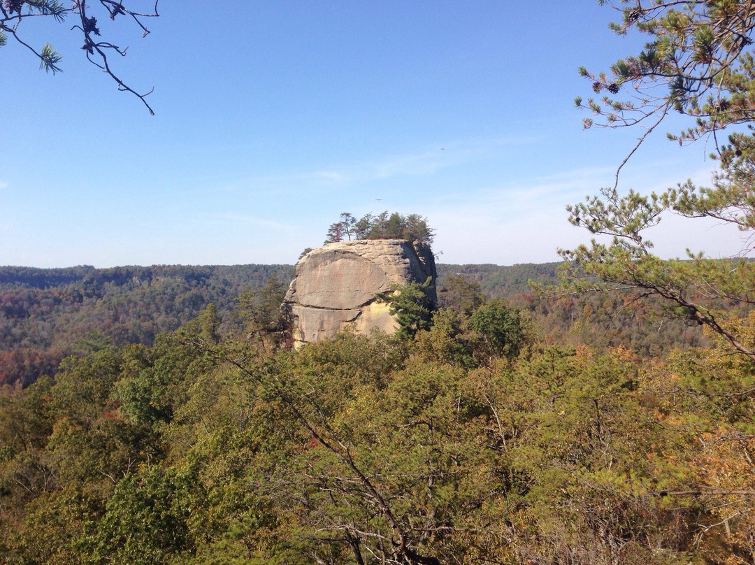 Red River Gorge Geological Area景点图片