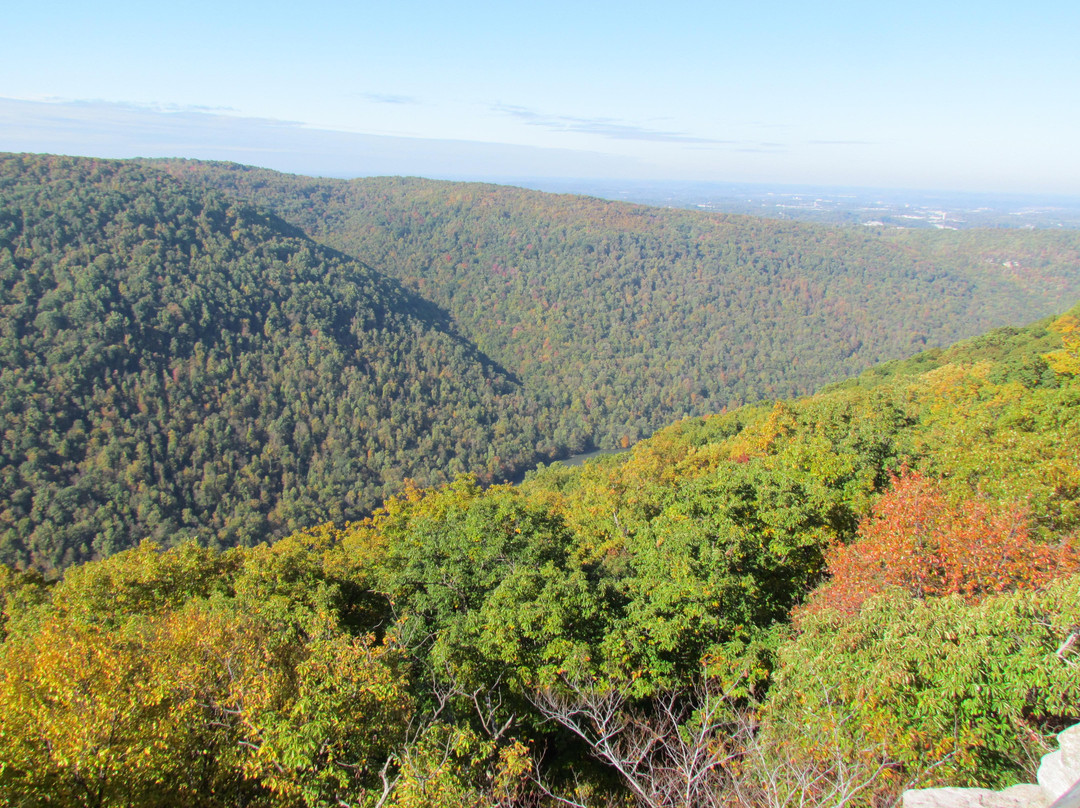 Coopers Rock State Forest景点图片