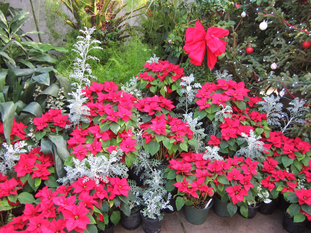 达文波特旅游景点-Vander Veer Botanical Park