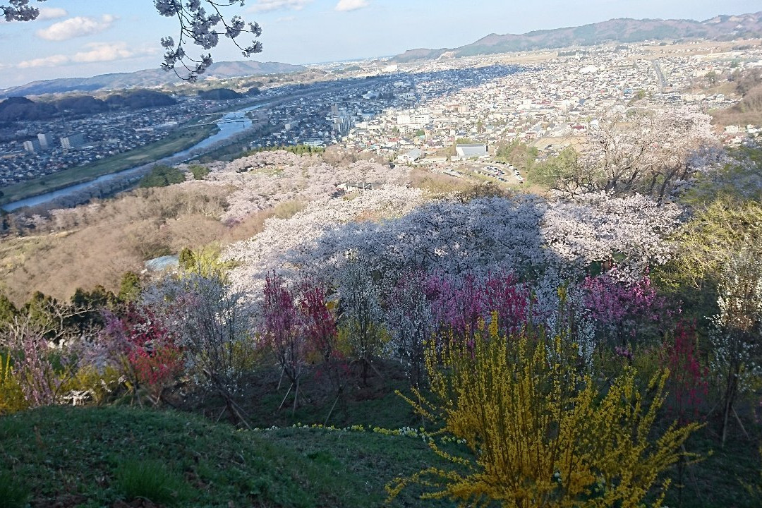 Funaokajoshi Park景点图片