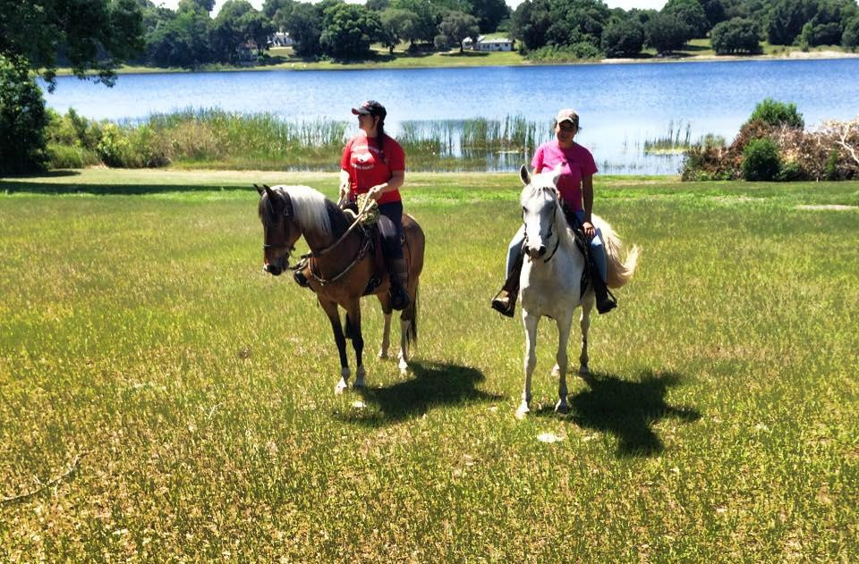 DreamCatcher Horse Ranch and Rescue景点图片