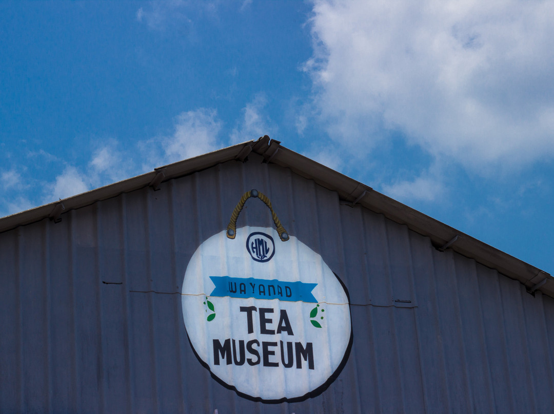 Wayanad Tea Museum景点图片