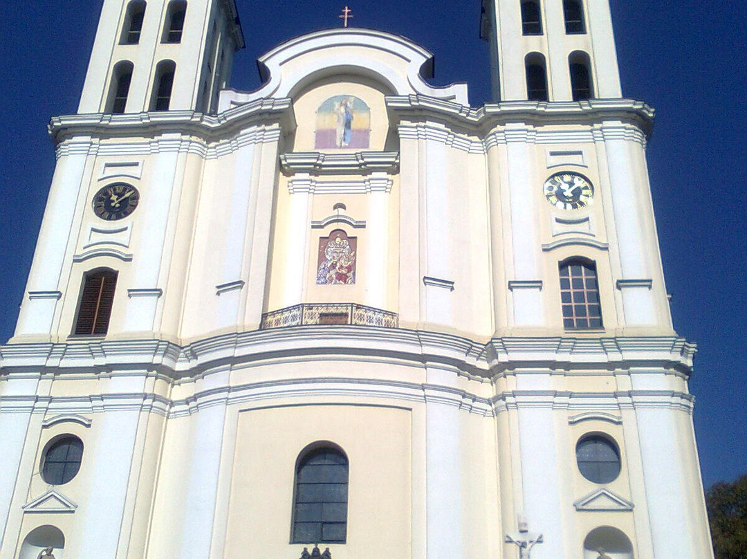 Bazylika Narodzenia Najświętszej Maryi Panny W Pszowie