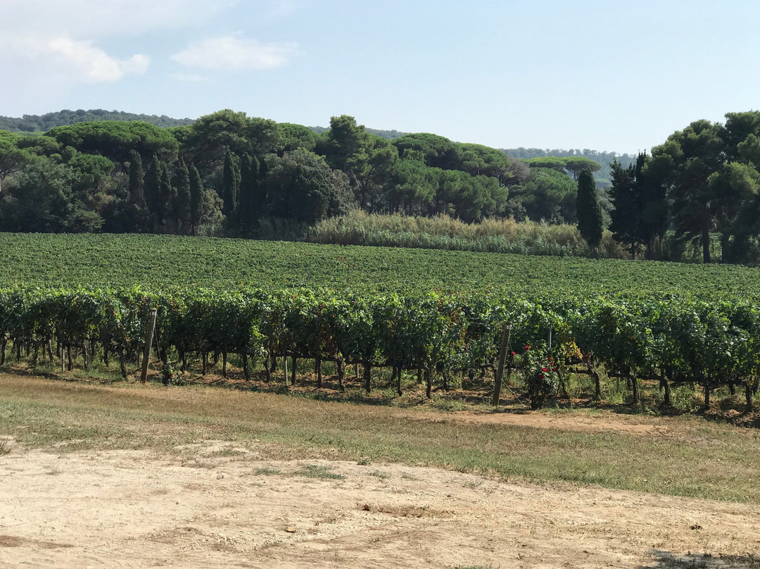 Tuscany for Cruise景点图片