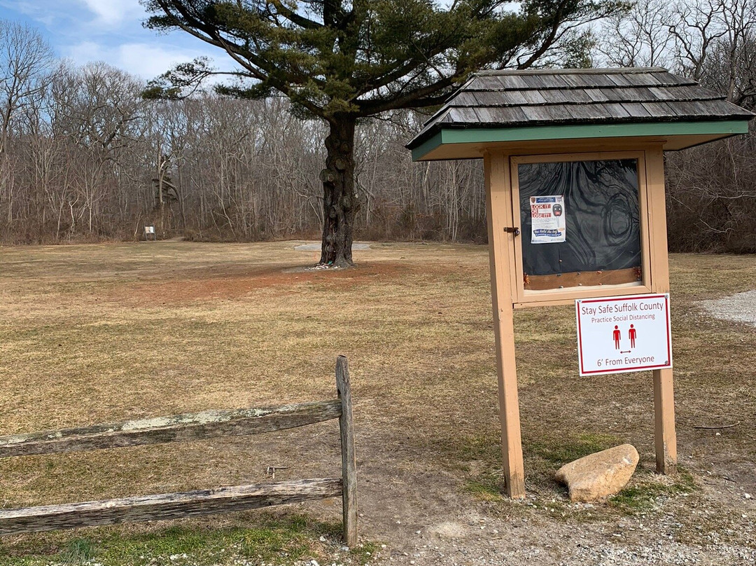 Farmingville Hills County Park景点图片