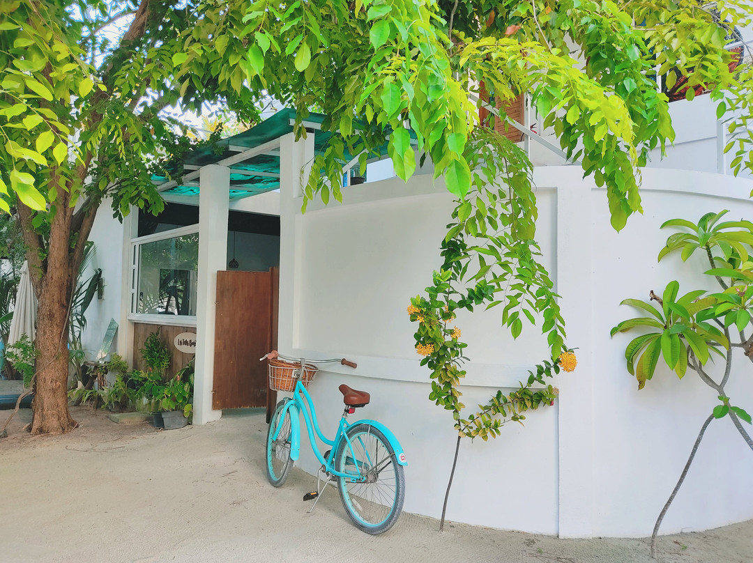 La Isla Bonita主图